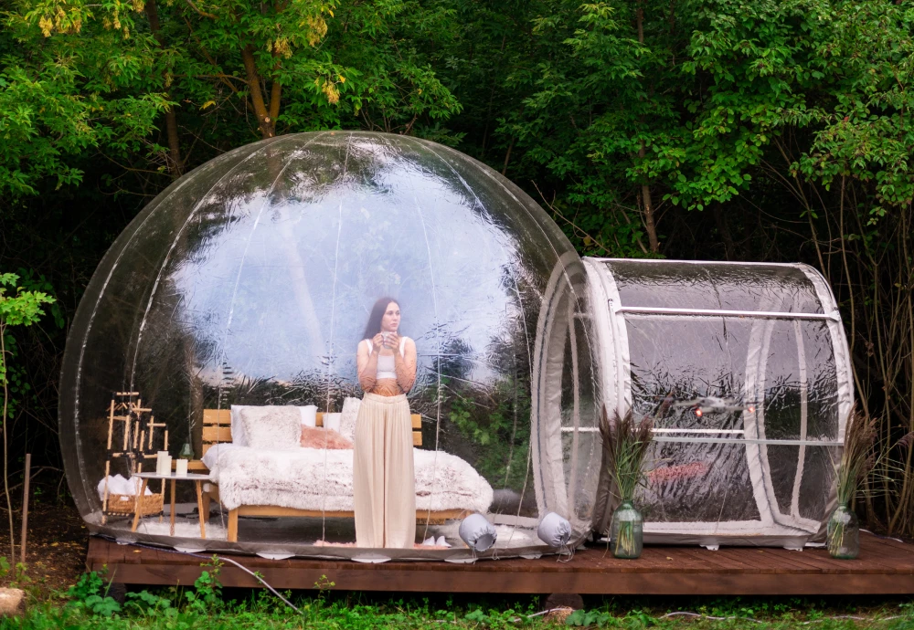 stargazing bubble dome tent