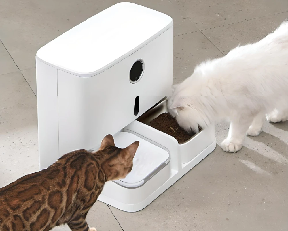 pet automatic food dispenser