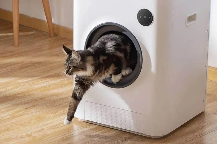 self cleaning litter box