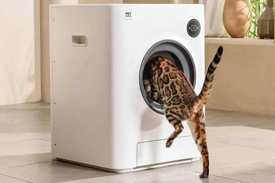 best automatic litter boxes for cats