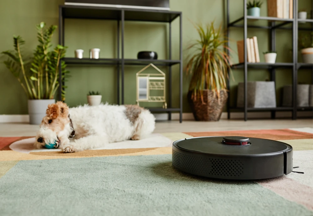 automatic robotic vacuum cleaner