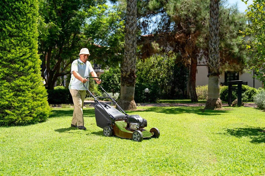 compact lawn mower